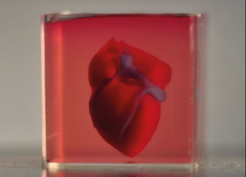 Bioprinted heart