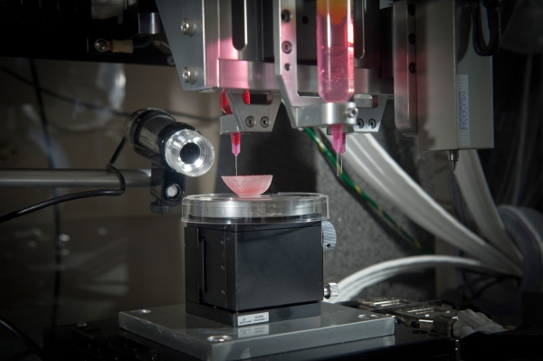 Bioprinted kidney