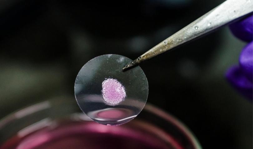 Bioprinted liver